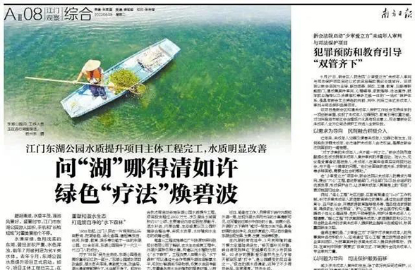 《南方日报》江门东湖公园：问“湖”哪得清如许 绿色“疗法”焕碧波