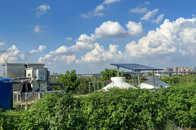 节水增效、低碳、生态