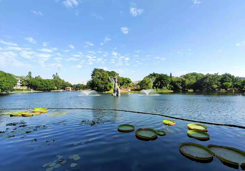 打造城市的秘密花园